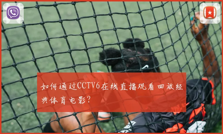 如何通过CCTV6在线直播观看回放经典体育电影？