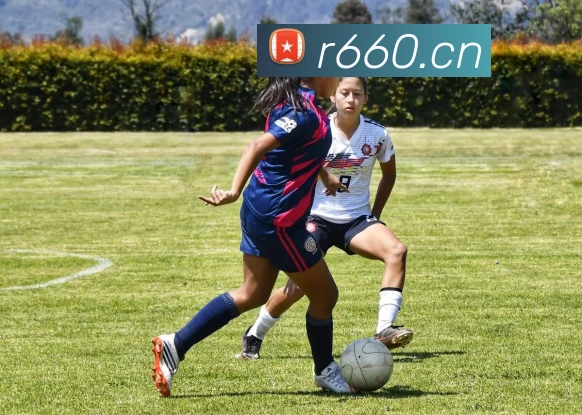 kaiyun开云官方网站APP 封面图